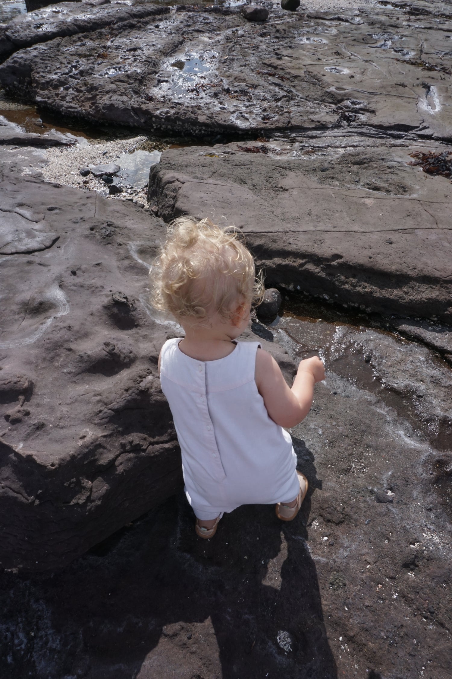 Cyrillus by the shore