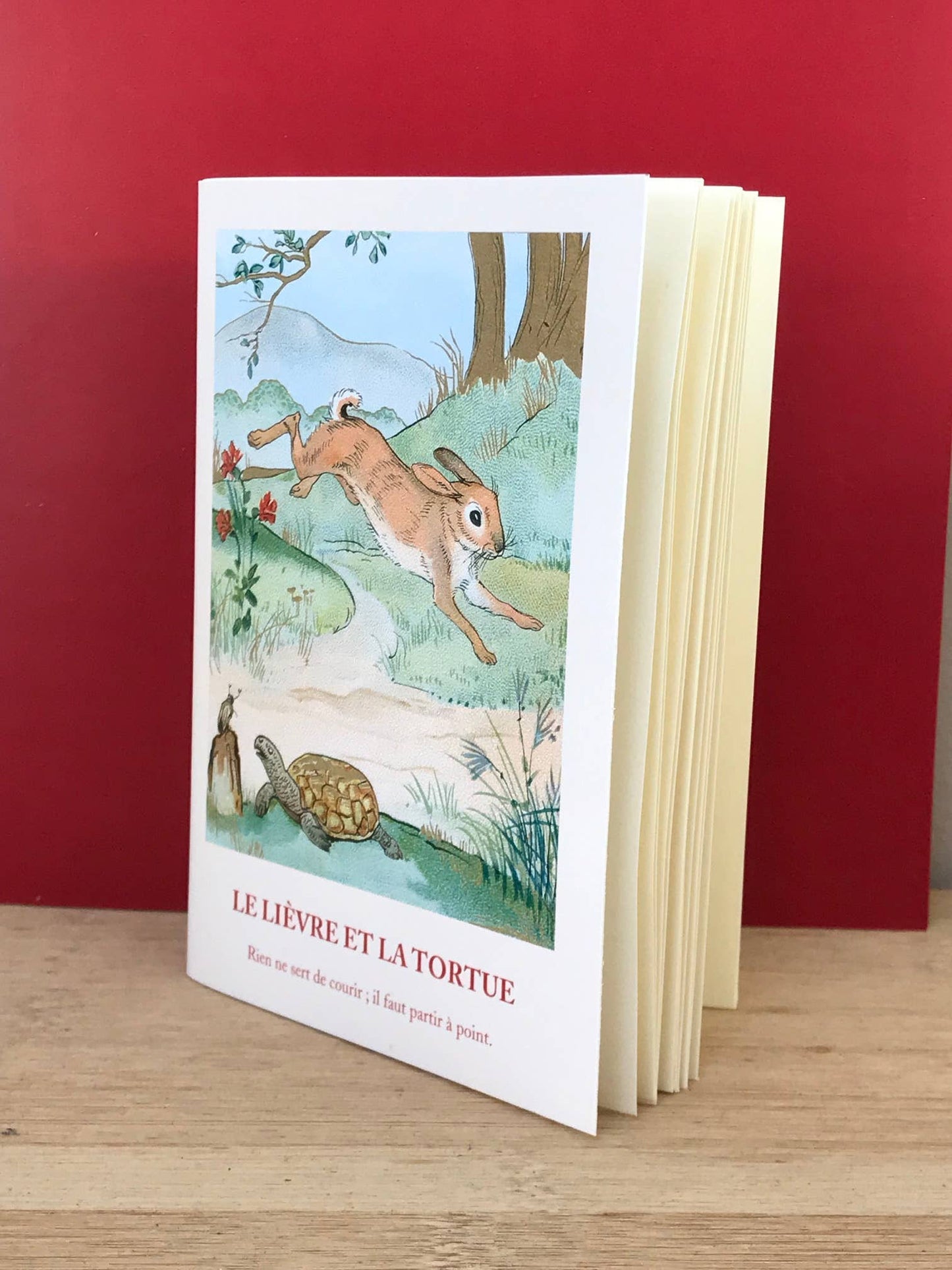 Little Notebook - Fable the Hare and the Tortoise