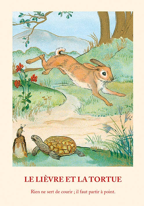 Little Notebook - Fable the Hare and the Tortoise